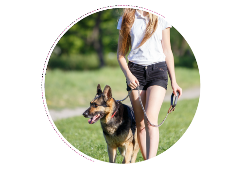 A young person walking their dog in a summery field