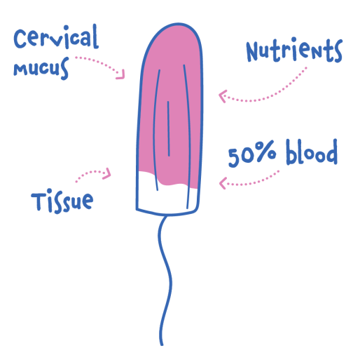 Your period contains cervical mucus, nutrients, tissue and 50% blood!